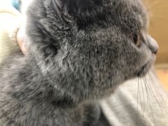 -宠颐生中康贝怡动物医院