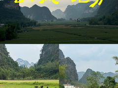 -明仕田园