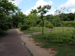-北京师范大学(珠海校区)
