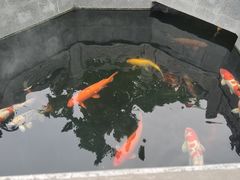 -西安市广仁寺