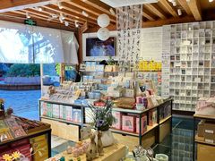 -猫的天空之城概念书店(丽江古城饮玉巷店)