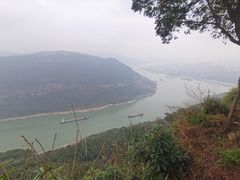 -铁山坪森林公园