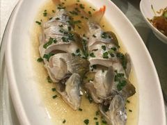 石鲫鱼-呼吸森林·生态农庄农家乐私房菜