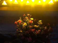 -必胜客(新中纬店)