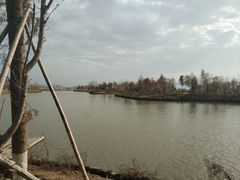 -漩门湾国家湿地公园