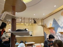 大堂-滚猫咖啡·猫咖·猫友好撸猫(未来城店)