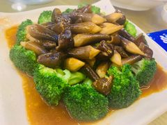 -九號渔港·蒸汽海鲜·粤菜茶点(八卦岭店)