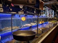 自助取餐区-必点海鲜·鲅鱼水饺(鞍山西道店)