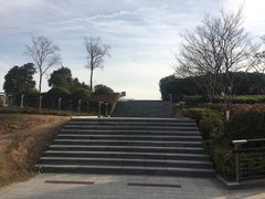 -羊山湖公园