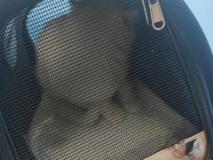 -瑞派福兴宠物医院犬猫全科·骨科·中西医结合(河东店)