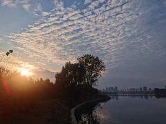 -金银湖国家城市湿地公园