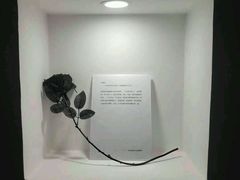 -深圳失恋博物馆再见前任(汇商名苑店)