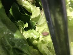 -川渝又一村火锅烤肉自助餐厅(祝塘店)