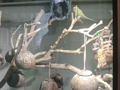 -如意早餐(北斗街店)
