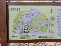 -广东茂名森林公园