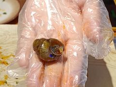 -唐力九头鸟烧烤·罗田吊锅(西云楼店)