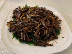 -云腾食府·云南菜