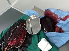 -爱侣宠医·鹦鹉专科·小型哺乳类·异宠专科(灵石路店)