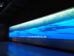 -贝壳王国博物馆