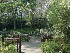 -杭州半山国家森林公园