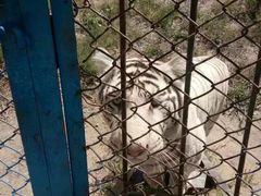 -哈尔滨北方森林动物园