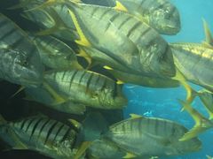 -北戴河圣蓝海洋公园