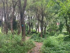-三垟湿地