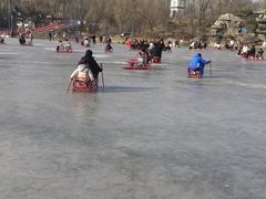 -西宁市人民公园(城西区)