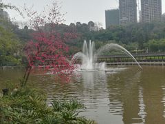 -龙头寺公园