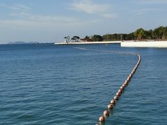 -深圳湾公园(南山区)
