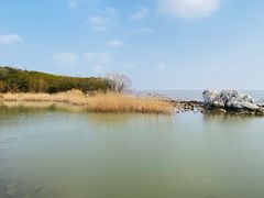 -上海吴淞炮台湾国家湿地公园