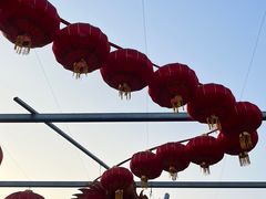 -同里国家湿地公园
