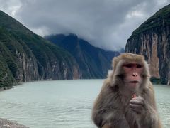 -白帝城·瞿塘峡景区