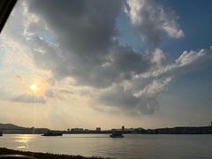 -海鸥岛