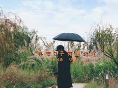 -三岔湖景区