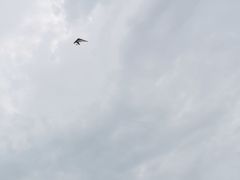 -湖州太湖旅游度假区-月亮广场