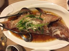 鱼-Isla Sugbu Seafood City