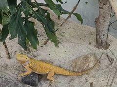 -广州长隆飞鸟乐园