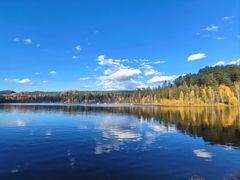 -五营红松林海景区