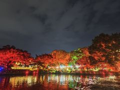 -桂林两江四湖景区