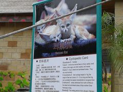 -灵玲国际马戏城