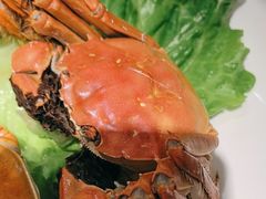 -云天楼国鼎喜宴中心(国鼎店)