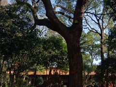 -南岳衡山风景名胜区-南岳大庙