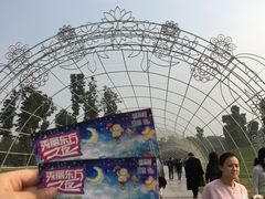 -秀丽东方