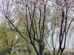 -堤角公园