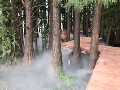 -东湖落雁景区
