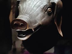 -广西壮族自治区博物馆