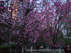 -元大都城垣遗址公园