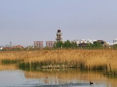 -水西公园