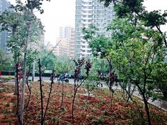 -鲁厚源牛肉坊(阳光100店)